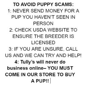 a!!URGENT! BEWARE OF SCAMMERS!