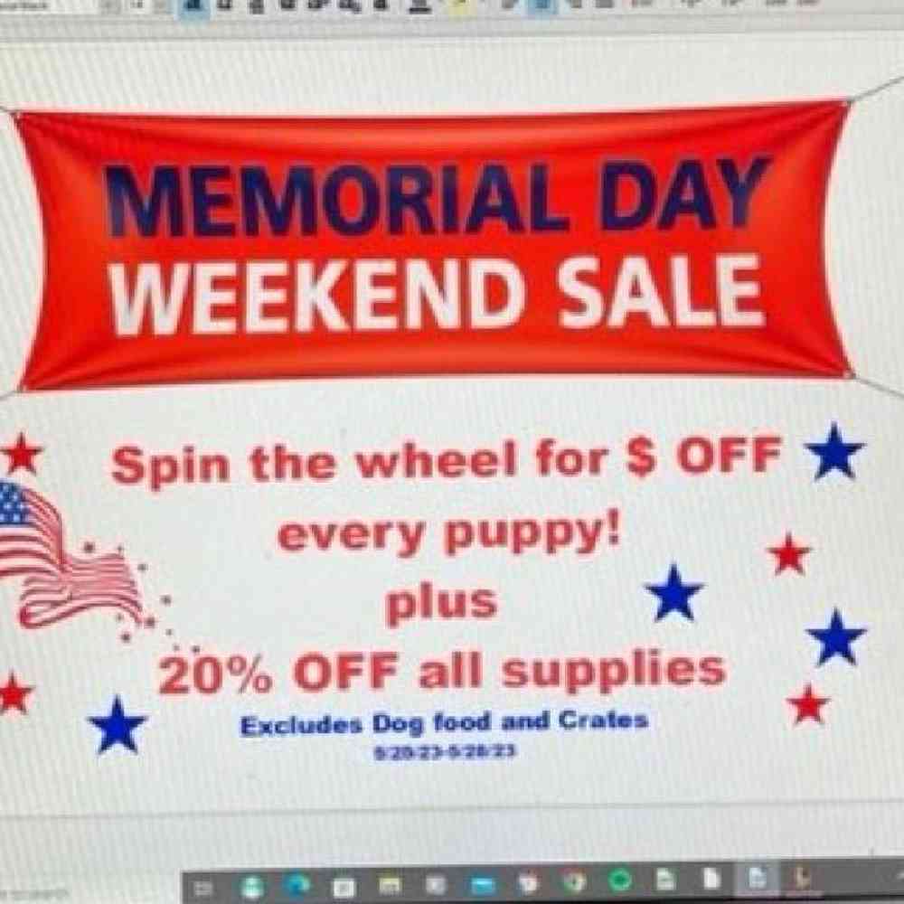 Unknown 1!MEMORIAL DAY WEEKEND SALE! Puppy for Sale in OMAHA, NE